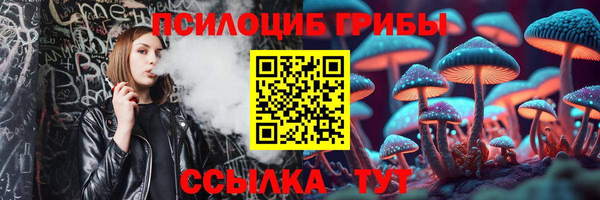 Тимашёвск  Галлюциногенные грибы мицелий  Вход с VPN 
