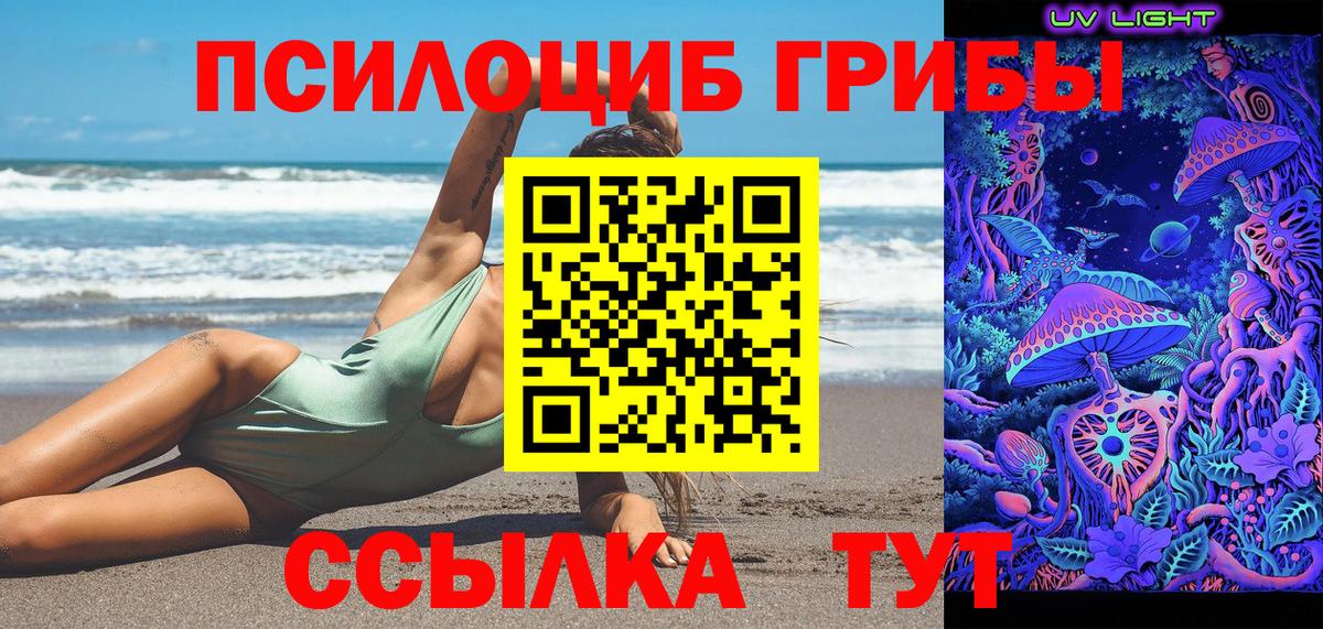 Галлюциногенные грибы Psilocybine cubensis Тимашёвск